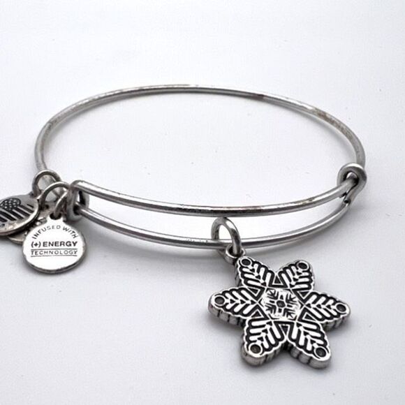 Alex and Ani Women's Star Flower EWB Bangle Bracelet Rafaelian Silver Expandable - Picture 1 of 9